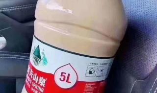 秋天的第一杯奶茶图片