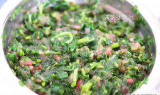 牛肉和啥菜包饺子最佳